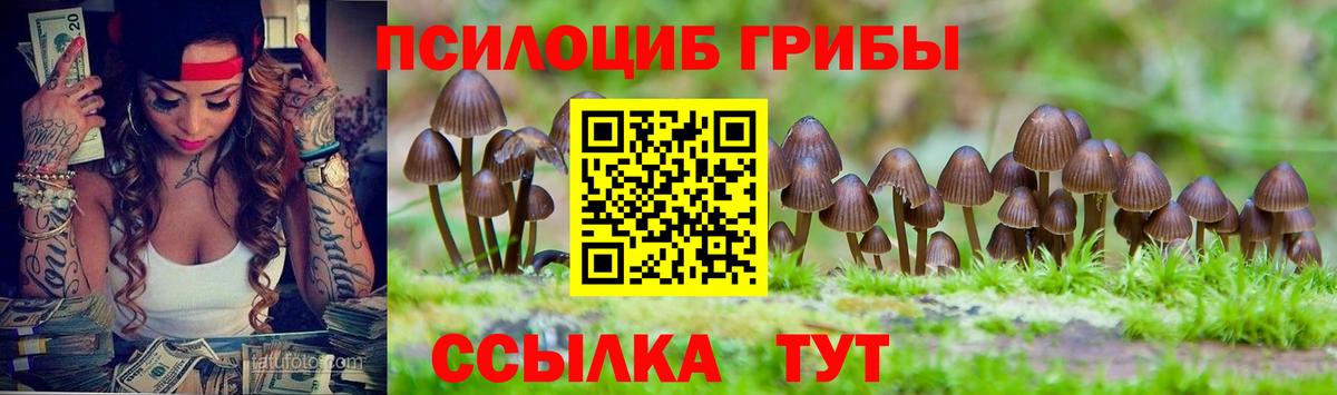 Псилоцибиновые грибы мухоморы Алейск